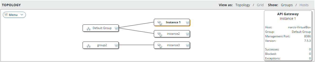 API Gateway instance version in topology groups view